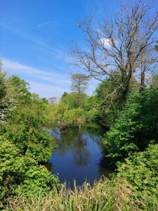 Journée mondiale de l'environnement 2025 3