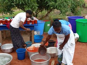 Les tomates du potager 3